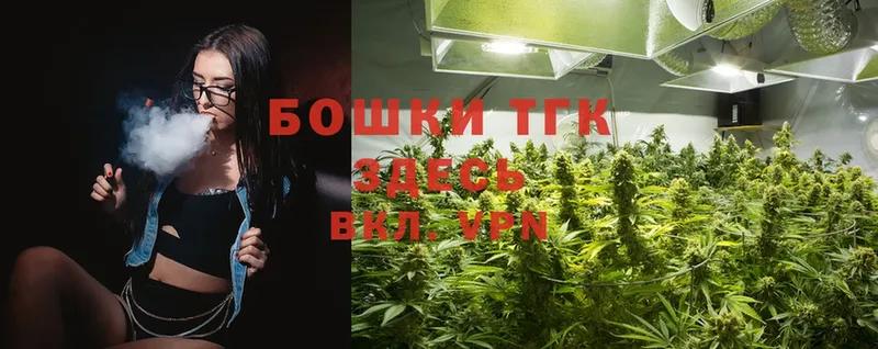 Каннабис OG Kush  что такое наркотик  мега как войти  Кирсанов 